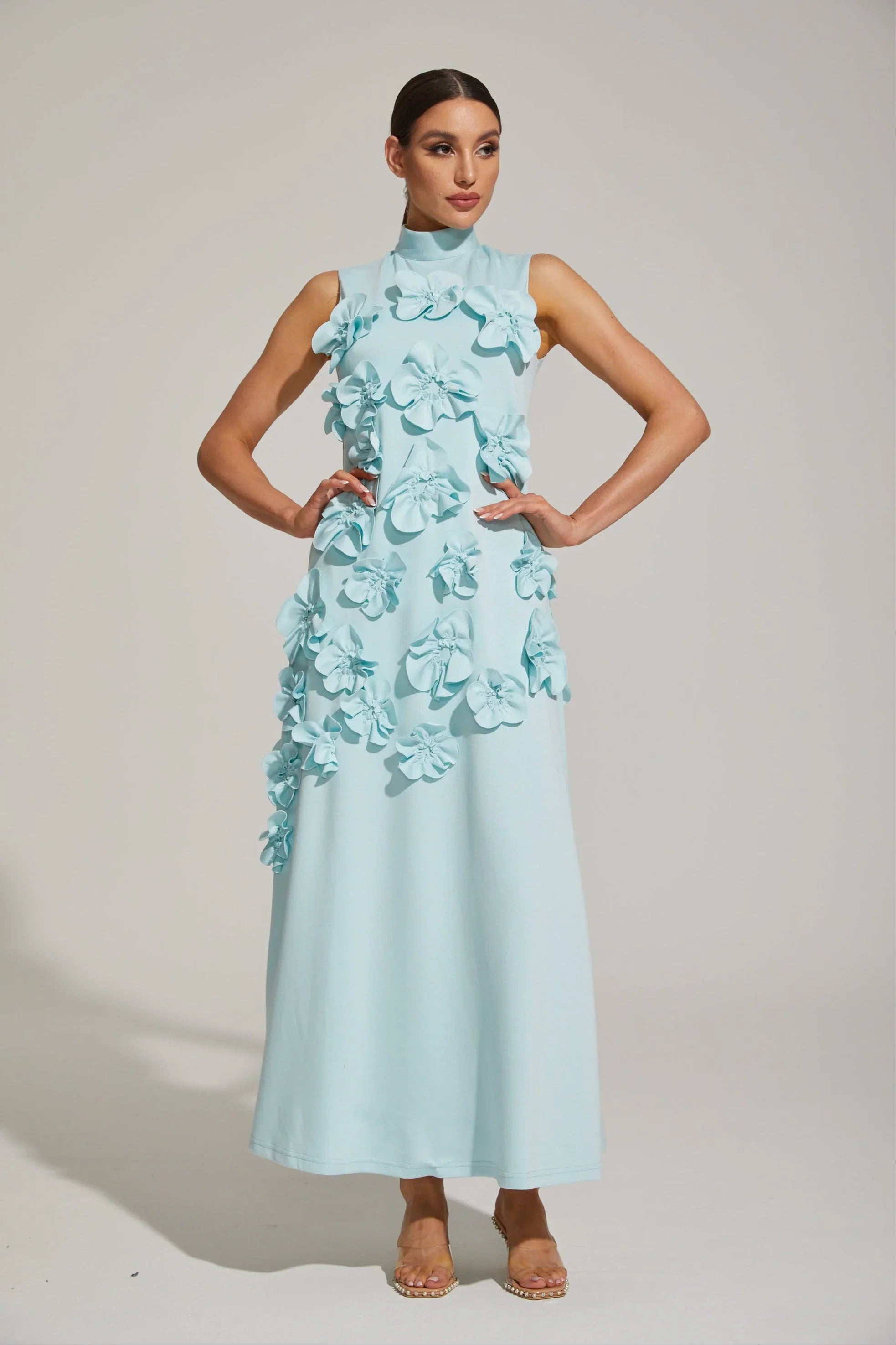 Maxi Dress with High Neckline and Embroidered Floral Detail