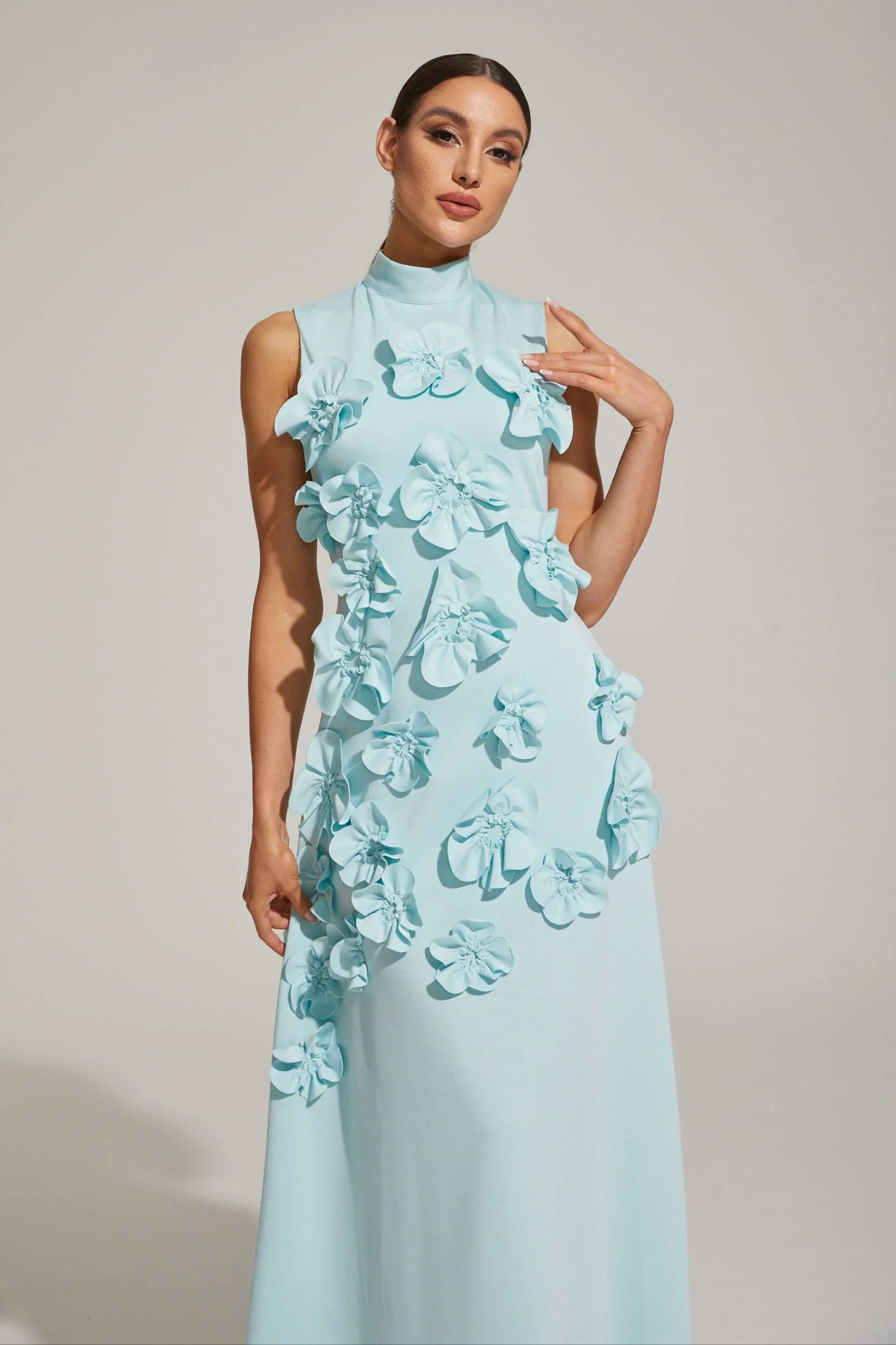 Maxi Dress with High Neckline and Embroidered Floral Detail