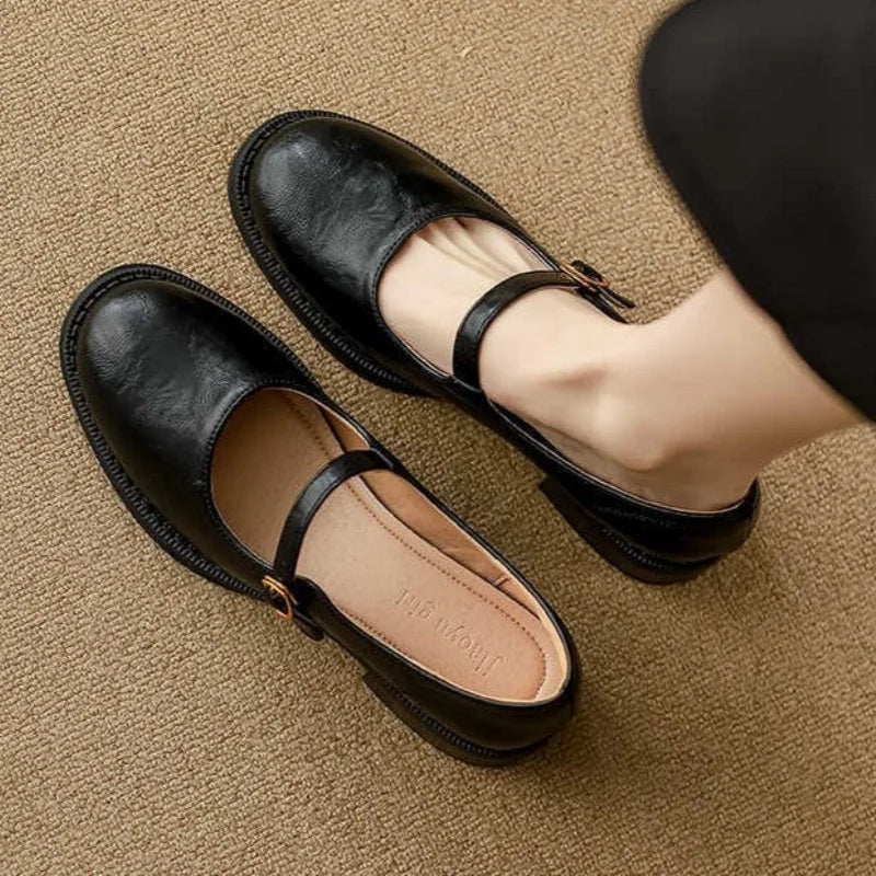 Women's Faux Leather Mary Jane Shoes | Buckle Strap, Round Toe and Low Block Heel | Size 5-8, Brown or Black