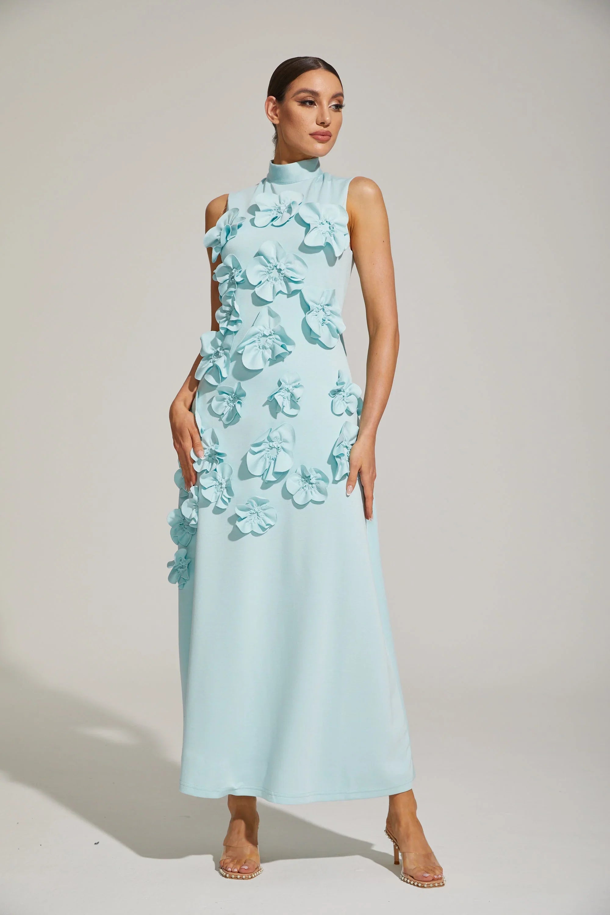 Maxi Dress with High Neckline and Embroidered Floral Detail