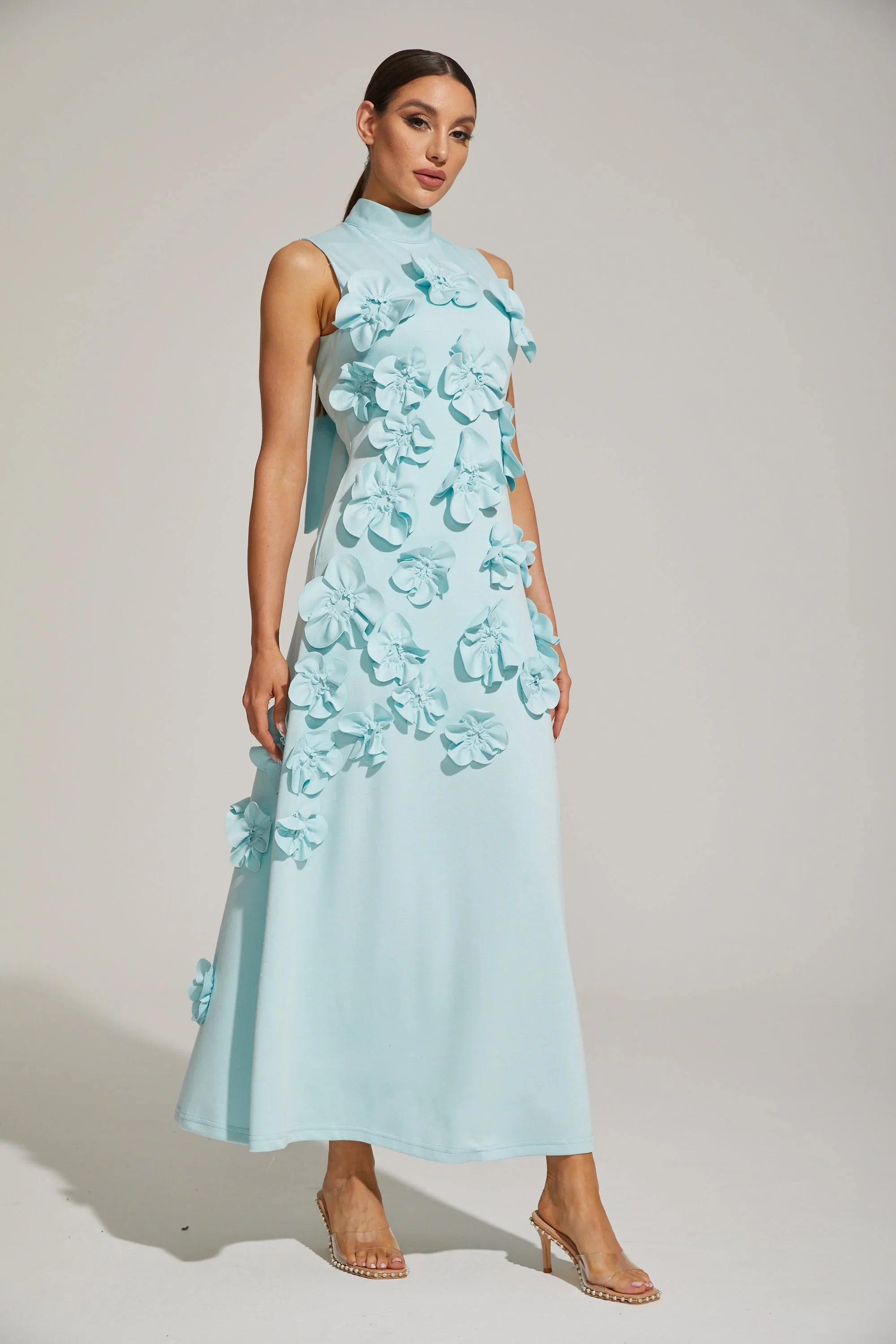 Maxi Dress with High Neckline and Embroidered Floral Detail
