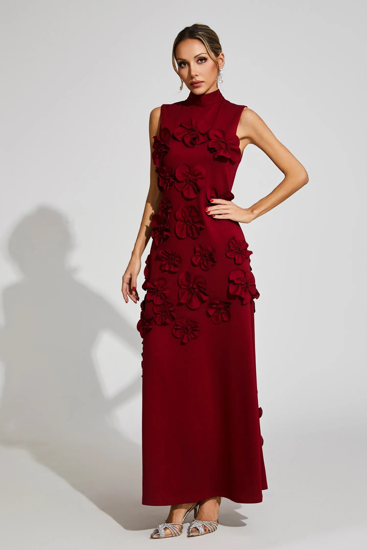 Maxi Dress with High Neckline and Embroidered Floral Detail
