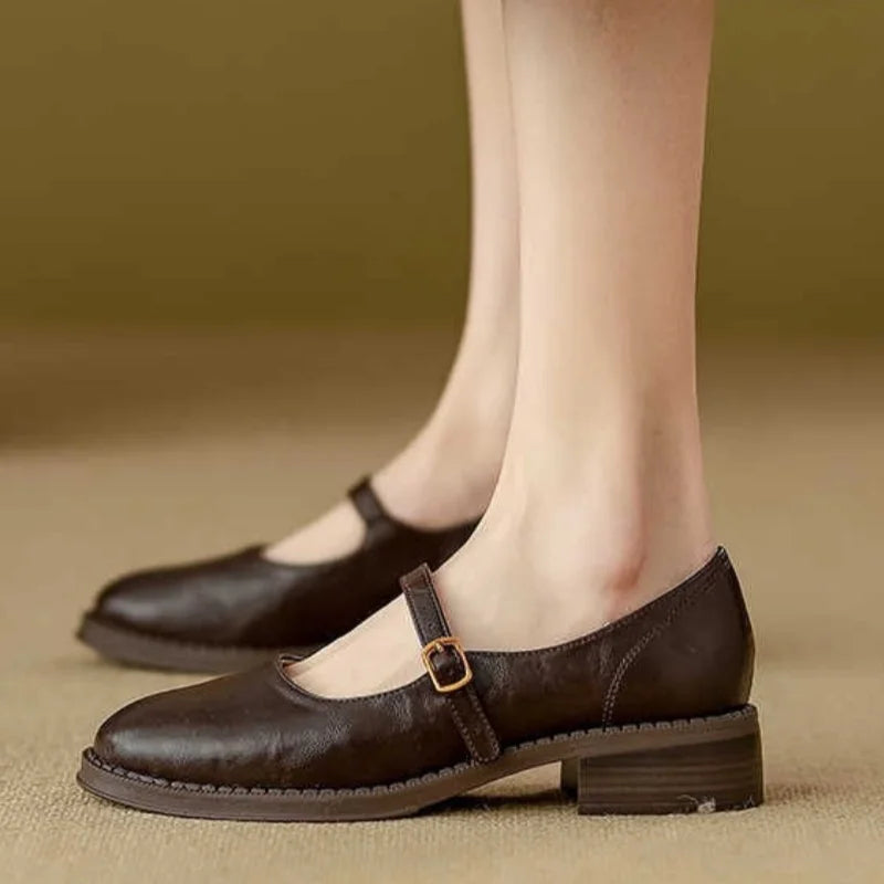 Women's Faux Leather Mary Jane Shoes | Buckle Strap, Round Toe and Low Block Heel | Size 5-8, Brown or Black