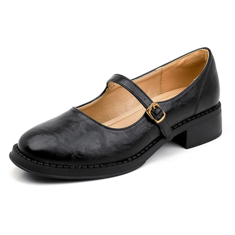 Women's Faux Leather Mary Jane Shoes | Buckle Strap, Round Toe and Low Block Heel | Size 5-8, Brown or Black