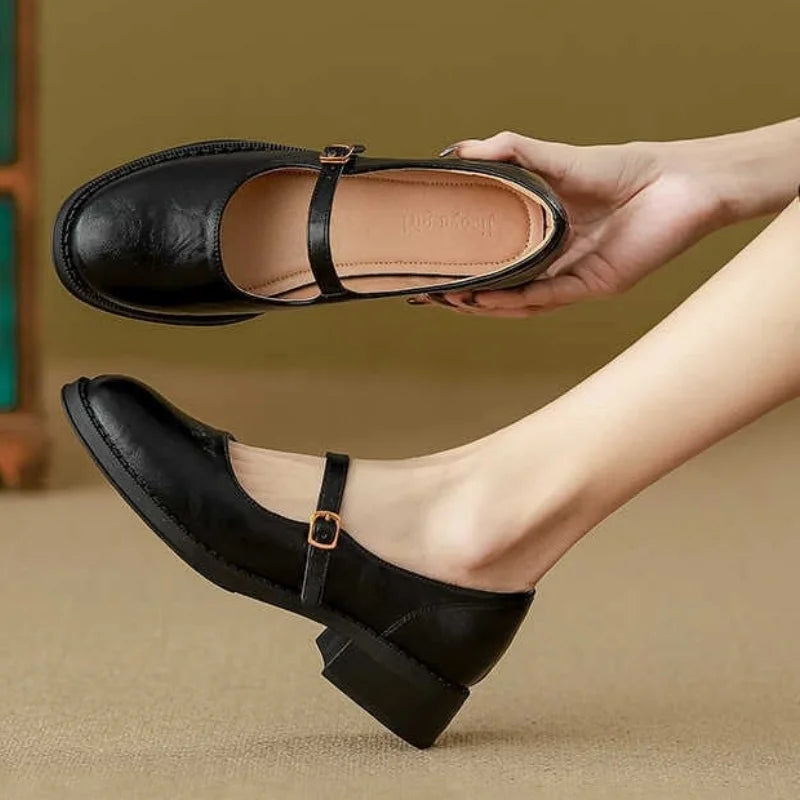 Women's Faux Leather Mary Jane Shoes | Buckle Strap, Round Toe and Low Block Heel | Size 5-8, Brown or Black