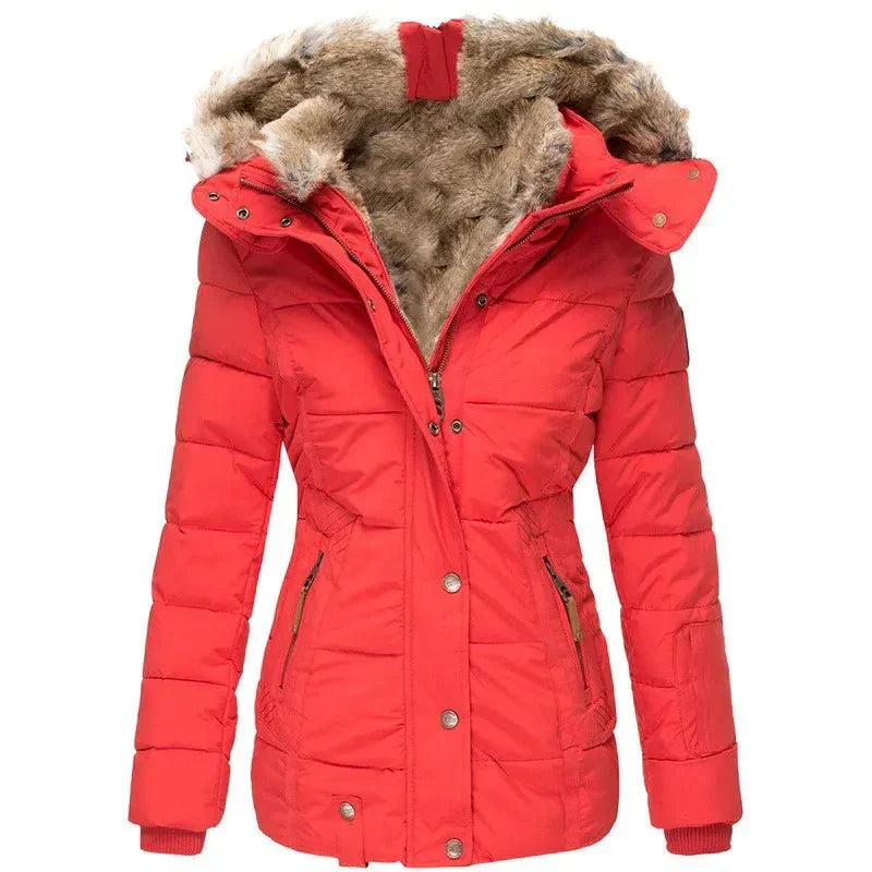 Women's Puffer Jacket with Quilted Panels and Hood | Faux Fur Trim, Fitted Cut, Knit | For Winter | Size S-5XL